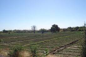 Exploitation de propriété rurale