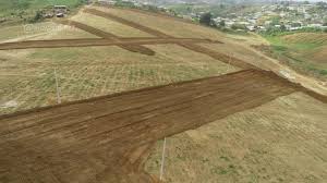 Exploitation de propriété urbaine